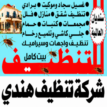 تنظيف هندي - شركة تنظيف هندي - سنديان📞99118960 - تنظيف منازل هندي - شركة تنظيف منازل هندي - غسيل سجاد هندي - تنظيف شقق هندي - تنظيف كنب هندي