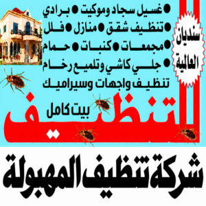 شركة تنظيف المهبولة