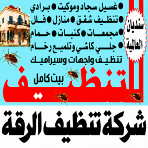 شركة تنظيف الرقة 