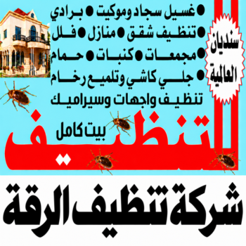 تنظيف الرقة - شركة تنظيف الرقة - سنديان📞99118960 - تنظيف منازل الرقة - شركة تنظيف منازل الرقة - غسيل سجاد الرقة - تنظيف شقق الرقة - تنظيف كنب الرقة