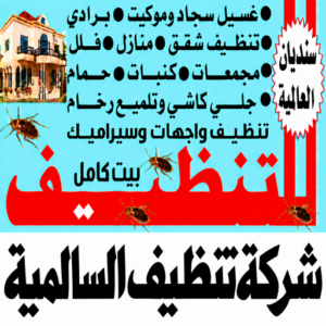 شركة تنظيف السالمية